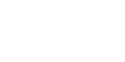 BSG